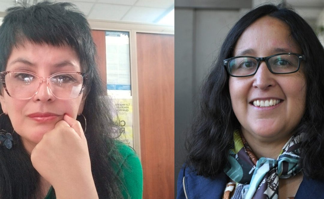 Dra. Claudia Calquín dirige la Primera Revista de Estudios de Género de la Universidad de Santiago de Chile.